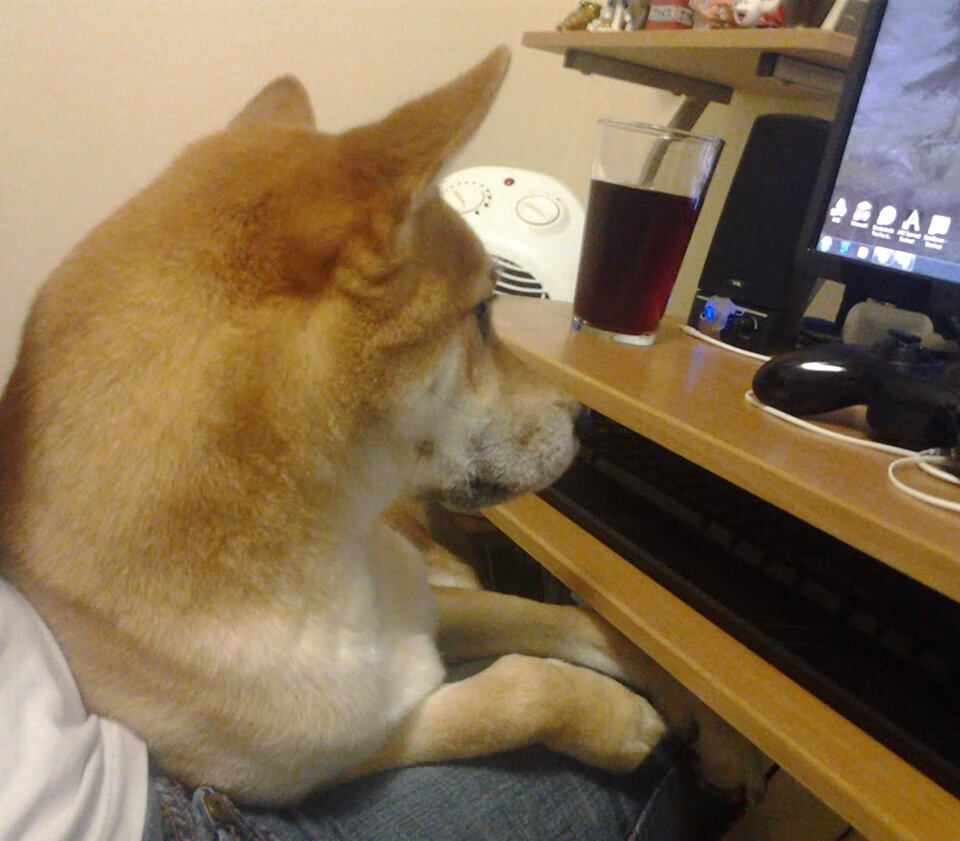 蓝色计时器，奥纳纳秒针终结三狮军团