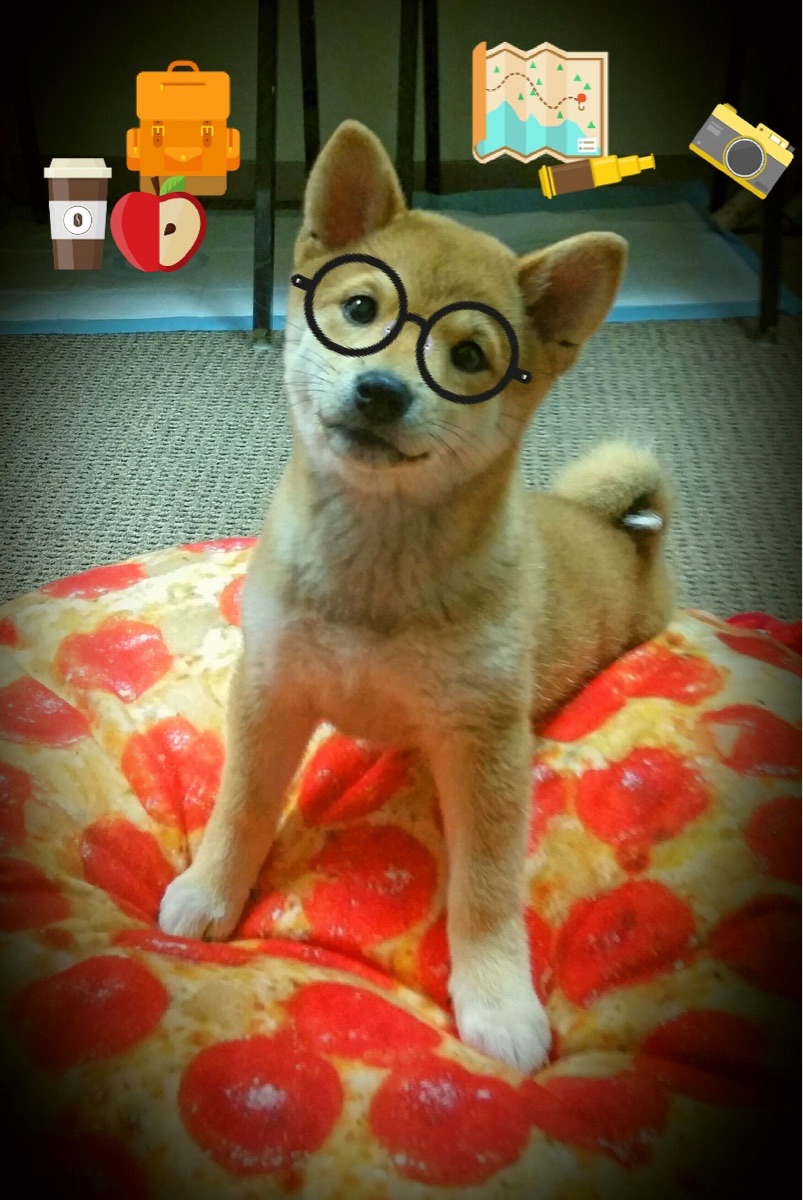 两个世界，同一夜，篮球与足球赛场上的压哨英雄