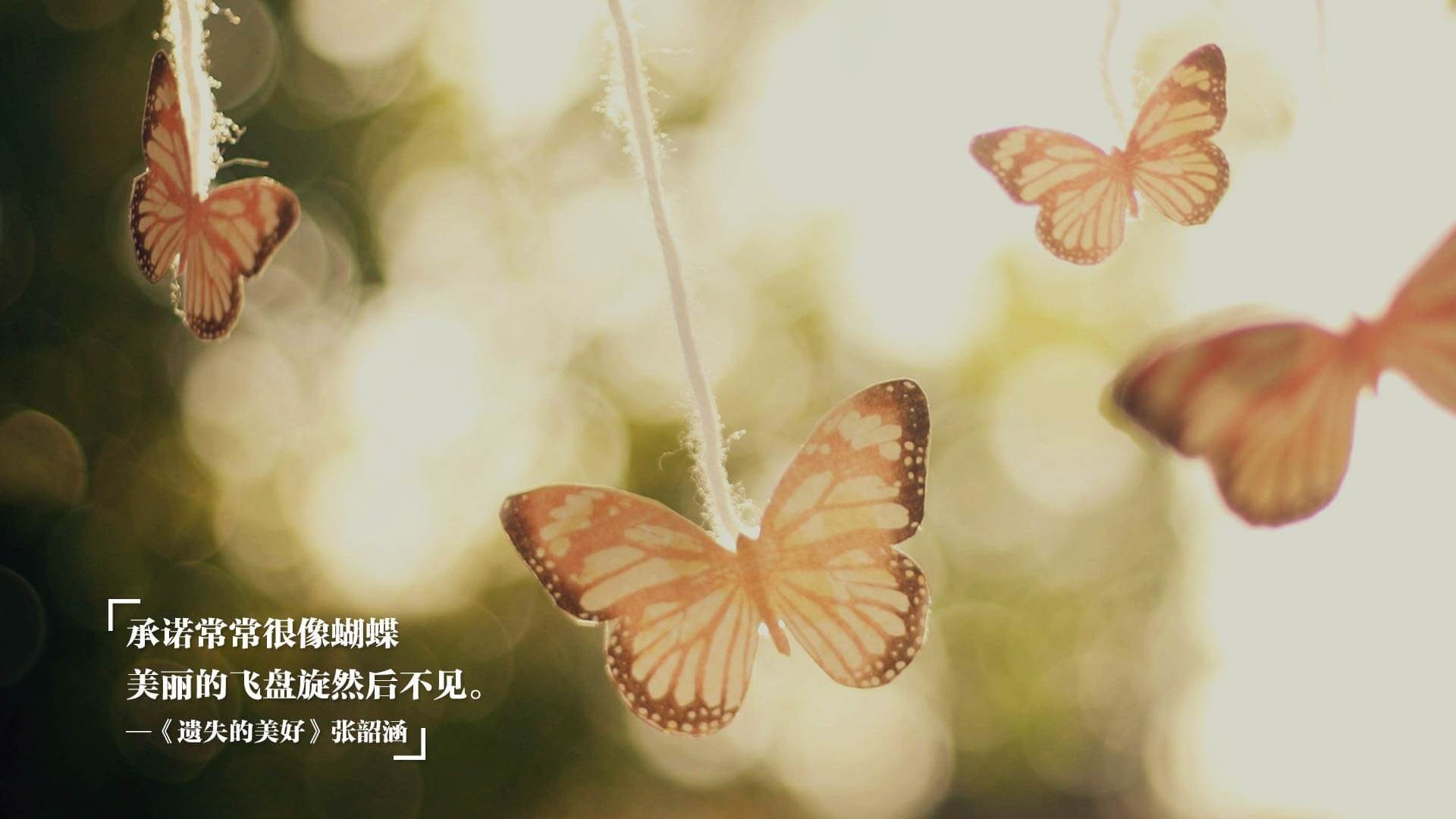 文班亚马稳定输出不掉线,凯尔特人跨界激战吉林队,篮球全球化的奇幻之夜