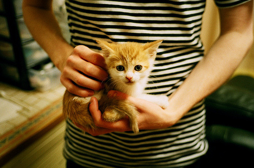 一场比赛两种哲学,老鹰的全息战术如何让广厦的钢铁洪流陷入沉默