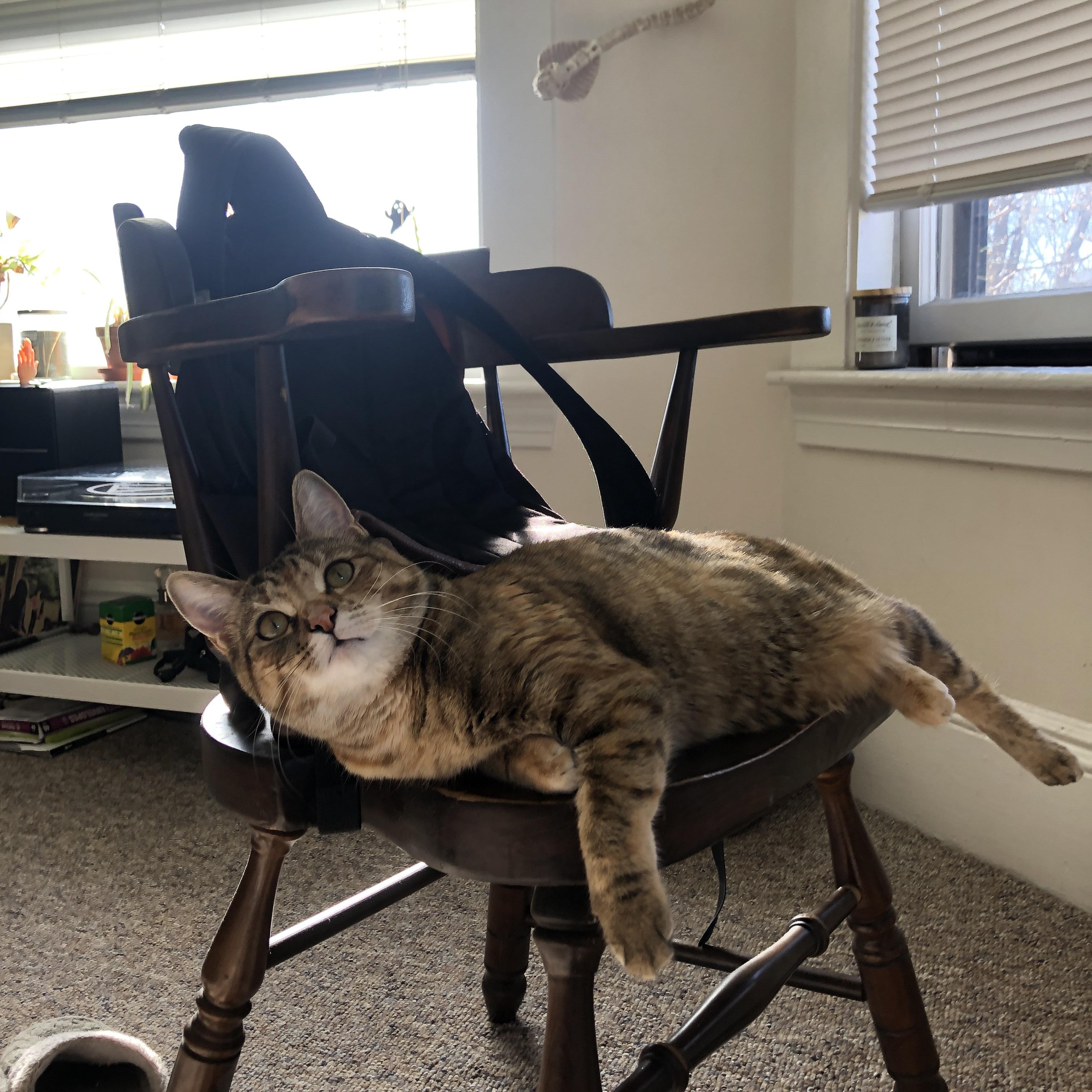 雷火电竞网址-定格三分钟，火箭单节狂潮，湖人王朝崩塌前夜