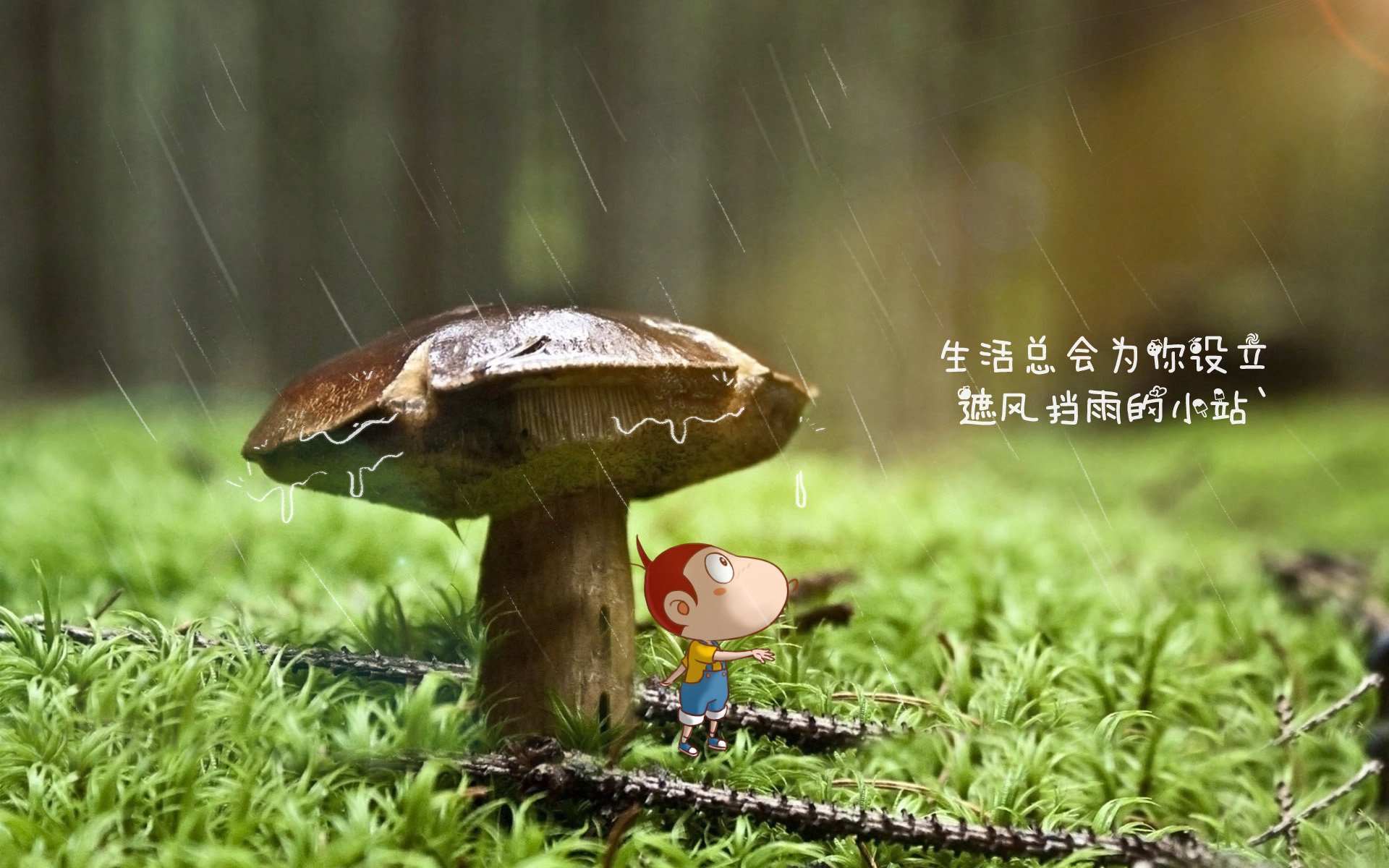 命运的第95分钟，当阿方索·戴维斯在蒙得维的亚写下不朽传奇